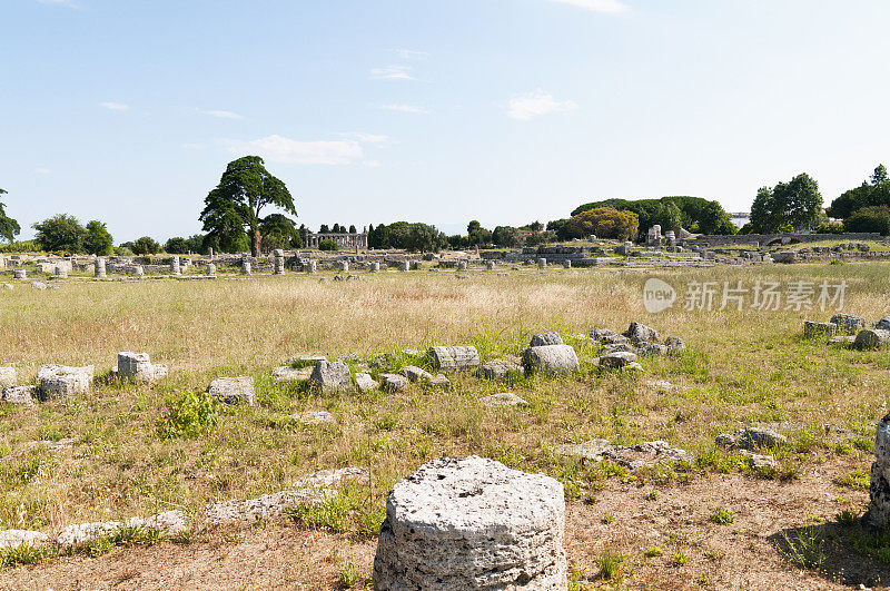 罗马神庙- Paestum